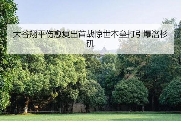 da-gu-xiang-ping-shang-yu-fu-chu-shou-zhan-jing-shi-ben-lei-da-yin-bao-luo-shan-ji-2-879.jpg