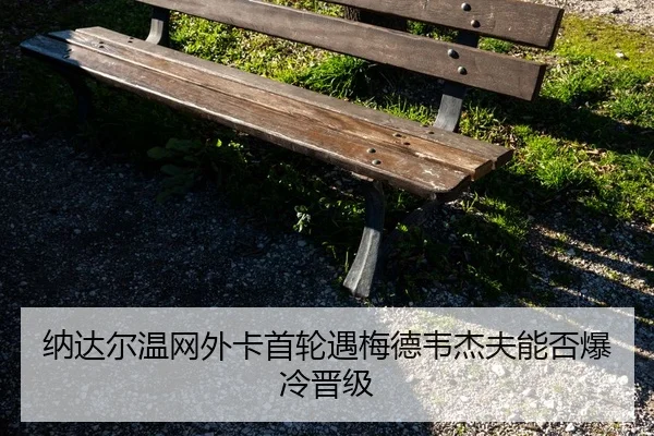 na-da-er-wen-wang-wai-ka-shou-lun-yu-mei-de-wei-jie-fu-neng-fou-bao-leng-jin-ji-1-606.jpg